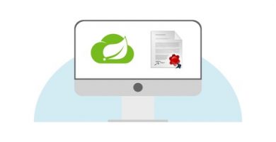 Top Spring Professional Certification courses of the year